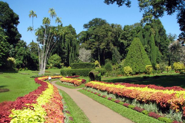 gazebo tours (15)